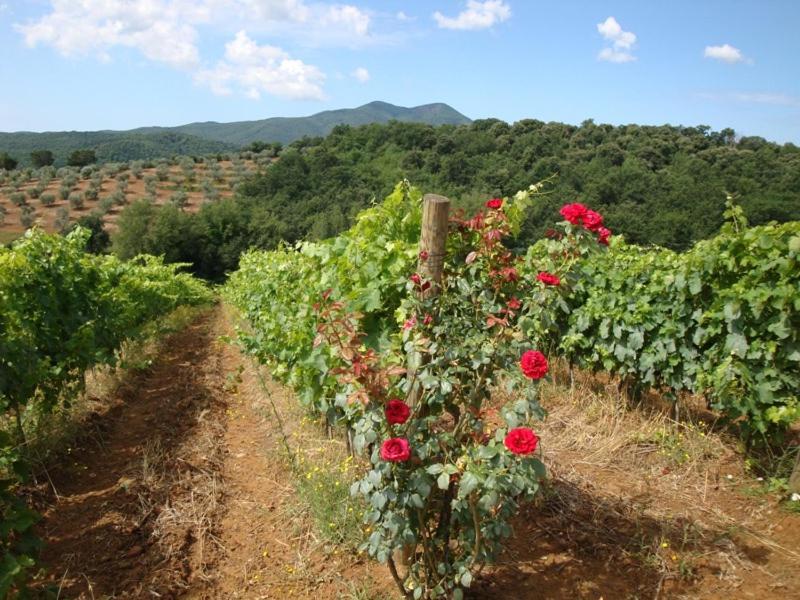 Montebelli Agriturismo & Country Hotel Caldana Buitenkant foto